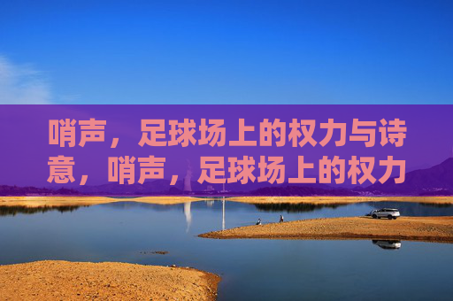 哨声,足球场上的权力与诗意,哨声,足球场上的权力与诗意