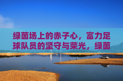 绿茵场上的赤子心，富力足球队员的坚守与荣光，绿茵赤子心，富力队员的坚守与荣光