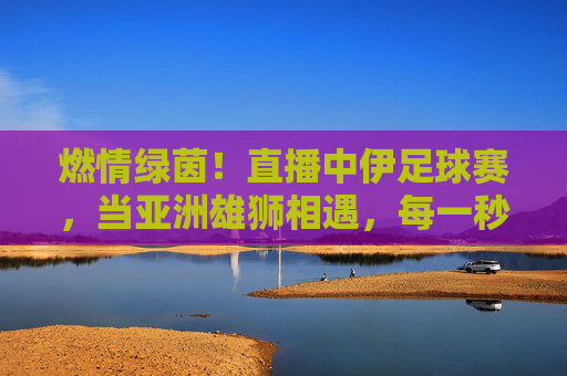 燃情绿茵！直播中伊足球赛，当亚洲雄狮相遇，每一秒都是热血沸腾，燃情绿茵！中伊足球赛直播，亚洲雄狮对决热血沸腾
