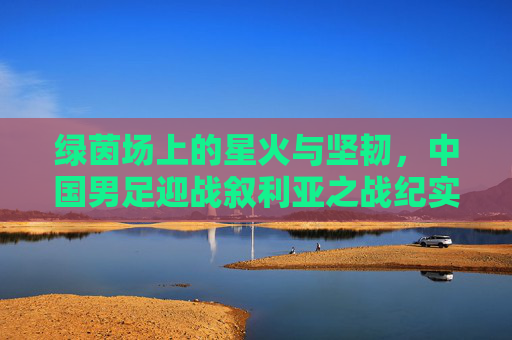 绿茵场上的星火与坚韧,中国男足迎战叙利亚之战纪实