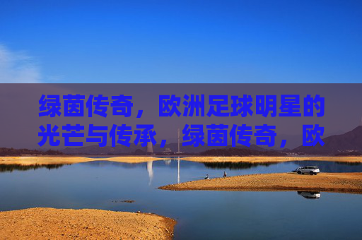 绿茵传奇，欧洲足球明星的光芒与传承，绿茵传奇，欧洲足球明星的光芒与传承