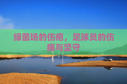 绿茵场的伤疤,足球员的伤痛与坚守