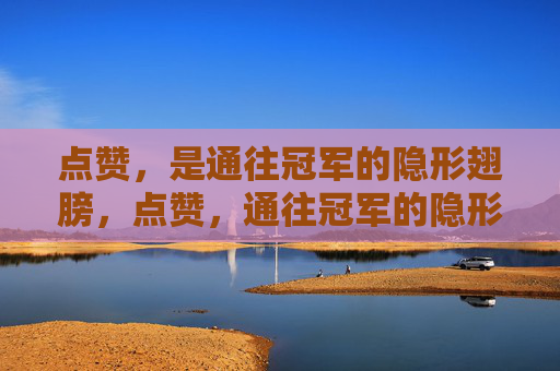 点赞，是通往冠军的隐形翅膀，点赞，通往冠军的隐形翅膀