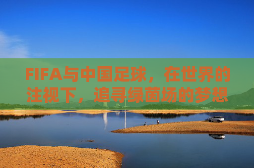 FIFA与中国足球，在世界的注视下，追寻绿茵场的梦想，FIFA注视下，中国足球的绿茵逐梦