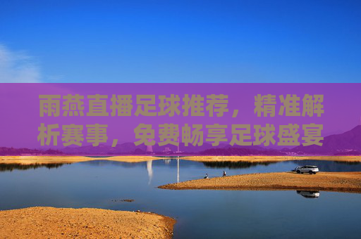 雨燕直播足球推荐,精准解析赛事,免费畅享足球盛宴,雨燕直播,免费精准足球推荐,畅享赛事盛宴