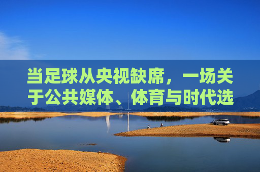 当足球从央视缺席,一场关于公共媒体、体育与时代选择的对话,足球缺席央视,公共媒体、体育与时代选择的对话