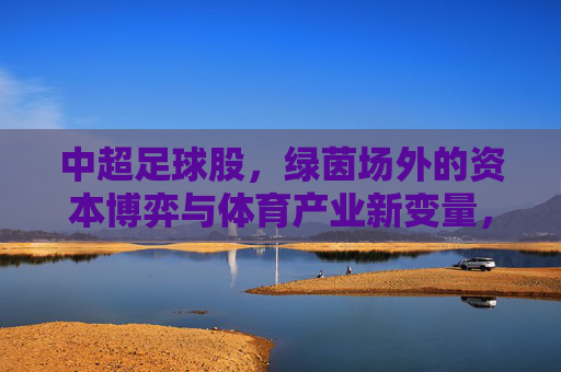 中超足球股,绿茵场外的资本博弈与体育产业新变量,中超足球股,资本博弈与体育产业新变局