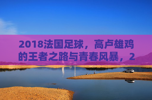 2018法国足球，高卢雄鸡的王者之路与青春风暴，2018高卢雄鸡，王者之路与青春风暴