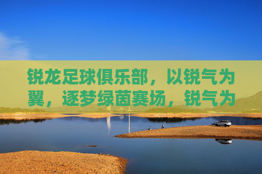锐龙足球俱乐部,以锐气为翼,逐梦绿茵赛场,锐气为翼,逐梦绿茵