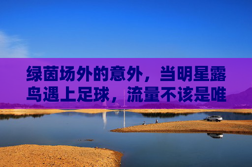 绿茵场外的意外,当明星露鸟遇上足球,流量不该是唯一的裁判,足球场外明星露鸟,流量不该是唯一裁判