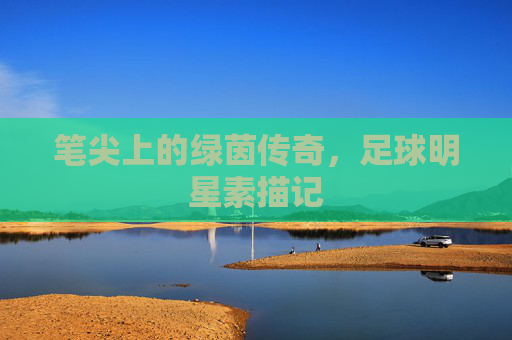 笔尖上的绿茵传奇,足球明星素描记