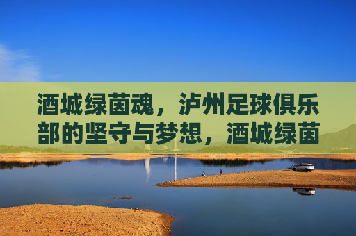 酒城绿茵魂，泸州足球俱乐部的坚守与梦想，酒城绿茵魂，泸州足球的坚守与梦想
