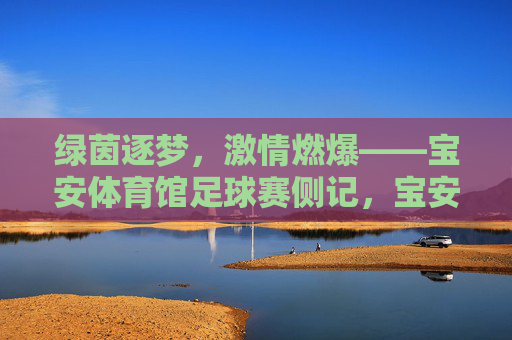 绿茵逐梦,激情燃爆——宝安体育馆足球赛侧记,宝安体育馆足球赛,绿茵逐梦激情燃爆