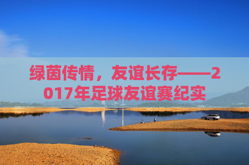 绿茵传情,友谊长存——2017年足球友谊赛纪实
