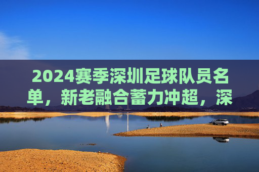 2024赛季深圳足球队员名单,新老融合蓄力冲超,深足将士剑指更高目标