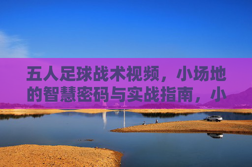 五人足球战术视频,小场地的智慧密码与实战指南,小场地五人足球战术,智慧密码与实战指南