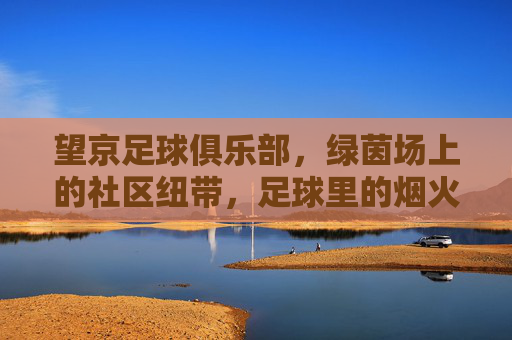 望京足球俱乐部，绿茵场上的社区纽带，足球里的烟火人间，望京FC，绿茵烟火，社区纽带