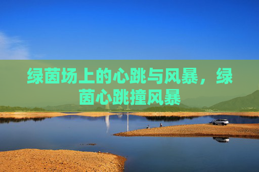 绿茵场上的心跳与风暴，绿茵心跳撞风暴