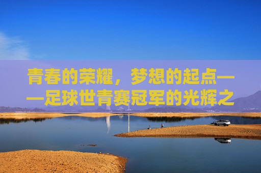 青春的荣耀，梦想的起点——足球世青赛冠军的光辉之路，青春荣光，世青赛冠军的光辉之路