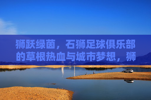 狮跃绿茵,石狮足球俱乐部的草根热血与城市梦想,狮跃绿茵,草根热血铸就城市梦想