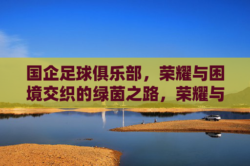 国企足球俱乐部,荣耀与困境交织的绿茵之路,荣耀与困境交织,国企足球的绿茵之路