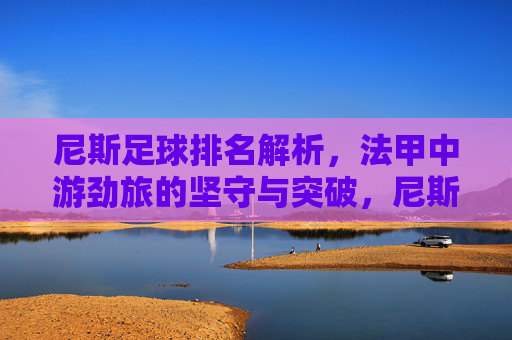 尼斯足球排名解析，法甲中游劲旅的坚守与突破，尼斯足球排名解析，法甲中游劲旅的坚守与突破