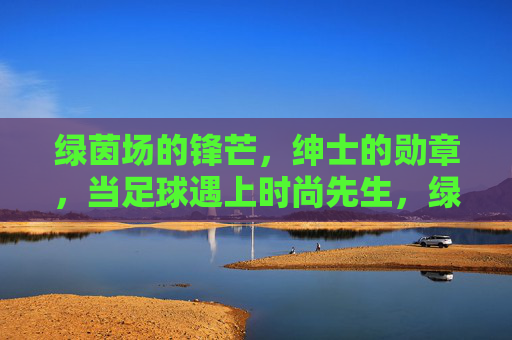 绿茵场的锋芒,绅士的勋章,当足球遇上时尚先生,绿茵绅士,当足球锋芒遇上时尚勋章