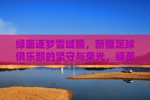 绿茵逐梦雪域疆,新疆足球俱乐部的坚守与荣光,绿茵逐梦雪域疆,新疆足球的坚守与荣光
