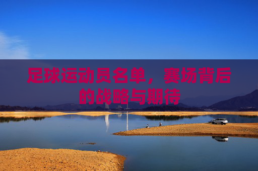 足球运动员名单,赛场背后的战略与期待