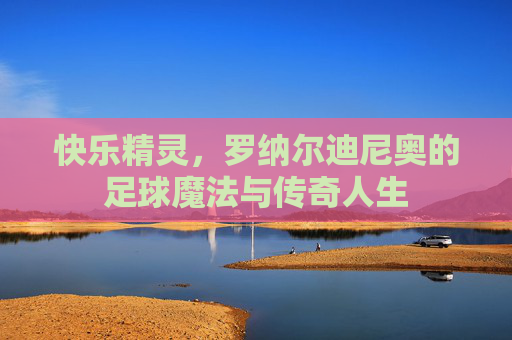 快乐精灵,罗纳尔迪尼奥的足球魔法与传奇人生