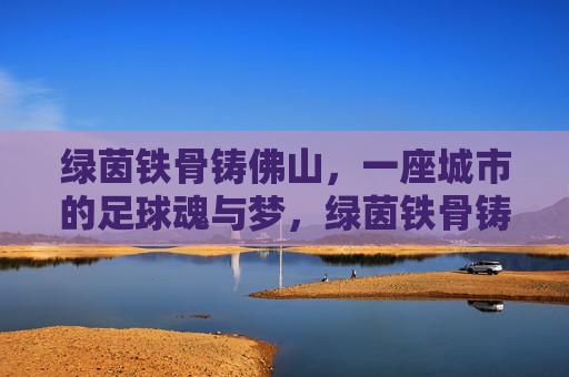 绿茵铁骨铸佛山，一座城市的足球魂与梦，绿茵铁骨铸佛山足球魂梦