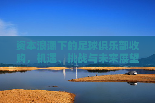 资本浪潮下的足球俱乐部收购,机遇、挑战与未来展望,资本浪潮下足球俱乐部收购,机遇、挑战与未来展望