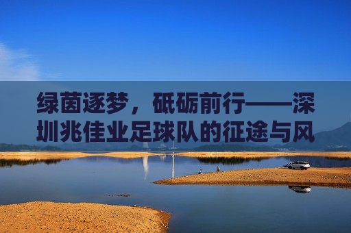 绿茵逐梦，砥砺前行——深圳兆佳业足球队的征途与风采，深圳兆佳业足球队，逐梦绿茵，砥砺前行