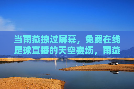 当雨燕掠过屏幕，免费在线足球直播的天空赛场，雨燕掠过，免费天空足球直播