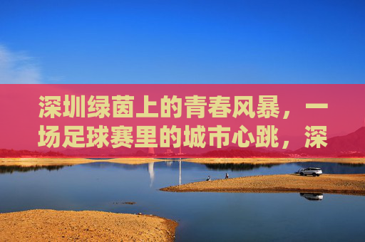 深圳绿茵上的青春风暴，一场足球赛里的城市心跳，深圳绿茵，青春风暴里的城市心跳