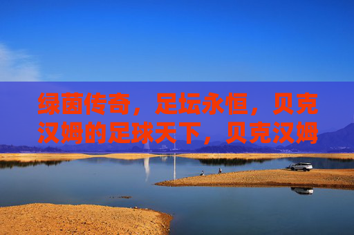 绿茵传奇，足坛永恒，贝克汉姆的足球天下，贝克汉姆，绿茵传奇，足坛永恒