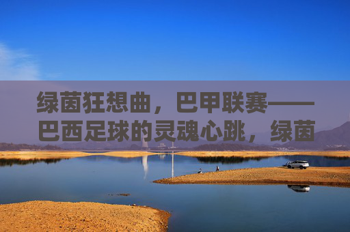 绿茵狂想曲,巴甲联赛——巴西足球的灵魂心跳,绿茵狂想曲,巴甲联赛,巴西足球的灵魂心跳