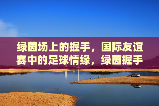 绿茵场上的握手,国际友谊赛中的足球情缘,绿茵握手,国际足球情缘