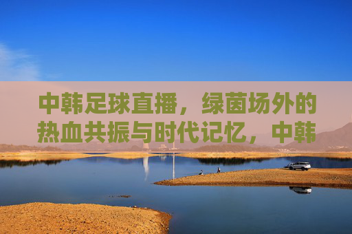 中韩足球直播,绿茵场外的热血共振与时代记忆,中韩足球直播,绿茵场外热血共振的时代记忆