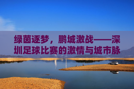 绿茵逐梦,鹏城激战——深圳足球比赛的激情与城市脉搏,鹏城绿茵脉动,足球激情与城市心跳
