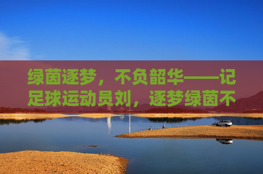 绿茵逐梦,不负韶华——记足球运动员刘,逐梦绿茵不负韶华——记足球运动员刘