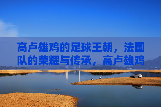 高卢雄鸡的足球王朝，法国队的荣耀与传承，高卢雄鸡足球王朝，荣耀与传承