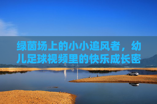 绿茵场上的小小追风者,幼儿足球视频里的快乐成长密码,小小追风者,绿茵场上的快乐成长密码