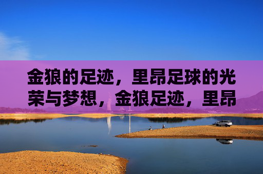 金狼的足迹,里昂足球的光荣与梦想,金狼足迹,里昂足球的光荣与梦想