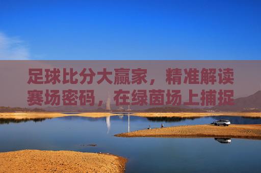 足球比分大赢家，精准解读赛场密码，在绿茵场上捕捉赢的密码，足球比分大赢家，精准解读赛场赢的密码