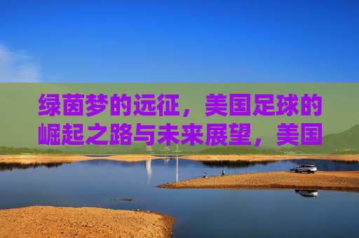 绿茵梦的远征，美国足球的崛起之路与未来展望，美国足球的绿茵远征，崛起之路与未来展望