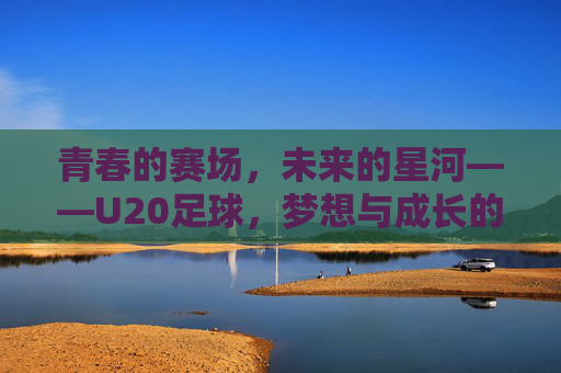 青春的赛场,未来的星河——U20足球,梦想与成长的加速器,青春赛场,U20足球点亮梦想星河