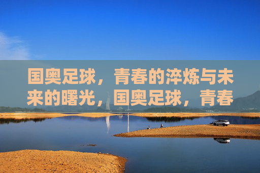 国奥足球,青春的淬炼与未来的曙光,国奥足球,青春淬炼与未来曙光