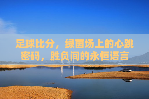 足球比分,绿茵场上的心跳密码,胜负间的永恒语言