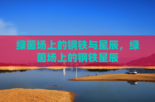 绿茵场上的钢铁与星辰,绿茵场上的钢铁星辰